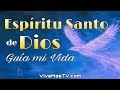 🔥 Guiados por el Espíritu Santo de Dios | Palabra de Vida y Salvacion