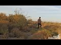 اقوى صيد دراج طاير عالميه احمد ابو رقيه الركابي حالتي