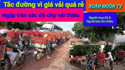 đặc sản lục mùa vải thiều là tắc đường