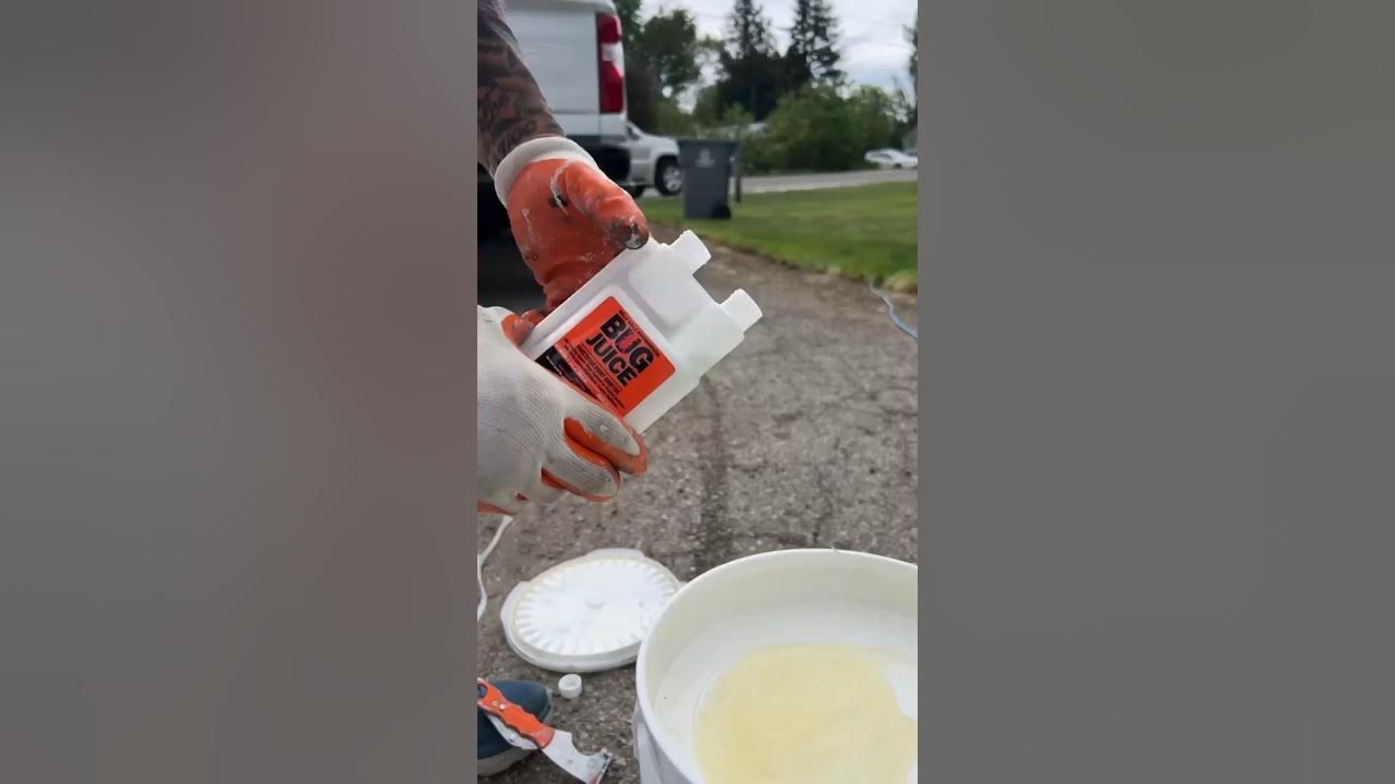 How To Keep Bugs Off Your House