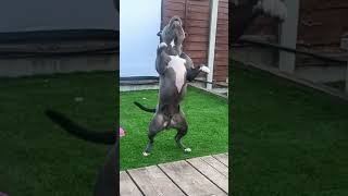 Cash Can Catch Slo Mo