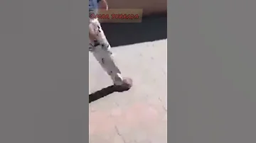 فيديو الذي يبحث عنه الجميع فتاة سطات 