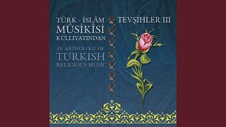 Ahmet Şahin-Şahı İklimi Risalettir Muhammed Mustafa — Mehmet Kemiksiz kapak görseli