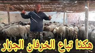 الفلاح دادا يشرح لكم كيفية بيع الخرفان للجزار