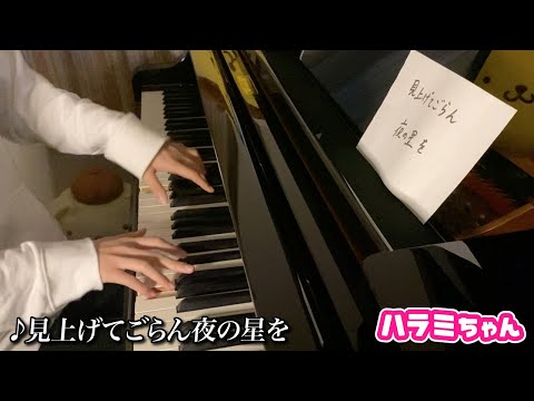 坂本九「見上げてごらん夜の星を」弾いてみた【ハラミちゃん】