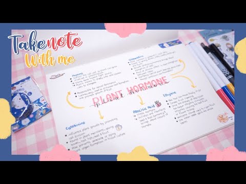 Take Note With Me EP. 24 | จดเลคเชอร์คุมโทนน้ำเงิน,แดง,เหลือง ให้น่ารัก และเข้าใจง่าย
