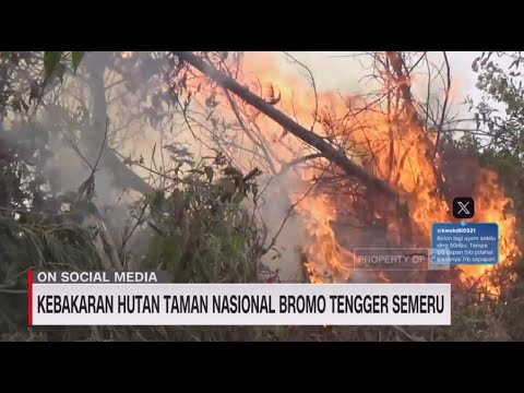 Kebakaran Hutan Taman Nasional Bromo Tengger Semeru