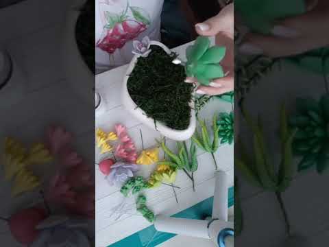 Суккуленты из полимерной