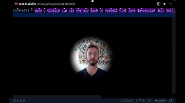 Cursorless Talon voice coding demo: sort every paint tail drum