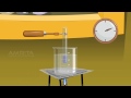 Carbohydrate Analysis Quiz