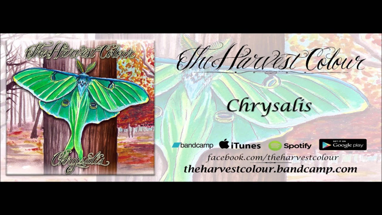The Harvest Colour - Chrysalis