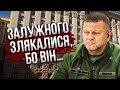 Ось що Залужний НЕ ПОДІЛИВ З БАНКОВОЮ! ЛАПІН: Зеленському дещо шепнули про головкома