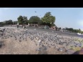 Birds flying all over 360 degree