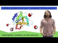The Role of Proteins in Biological Functions and Structures