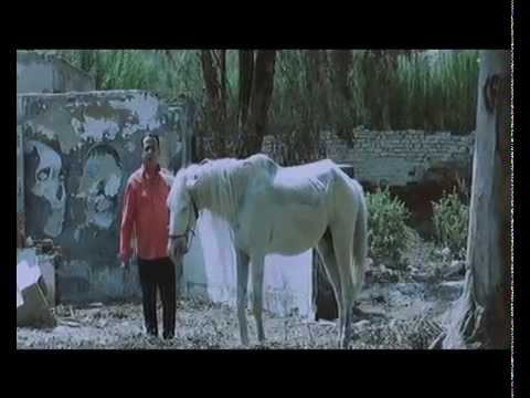 كليب النجم عاصم الخواجه إ خراج كــــريم ثــــروت