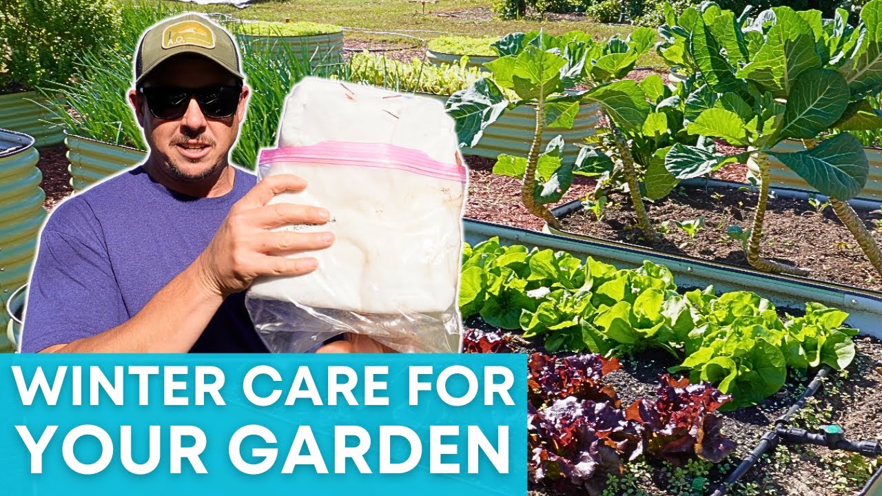 How to Protect Your Garden This Winter! - YouTube