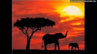 Mr. Nice - Rafiki