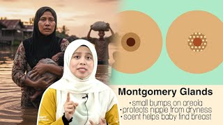 Menyusu Masa Banjir: Susu Badan atau Botol?