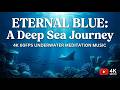 Eternal Blue: A Deep Sea Journey | 4K 60FPS Underwater Meditation Music