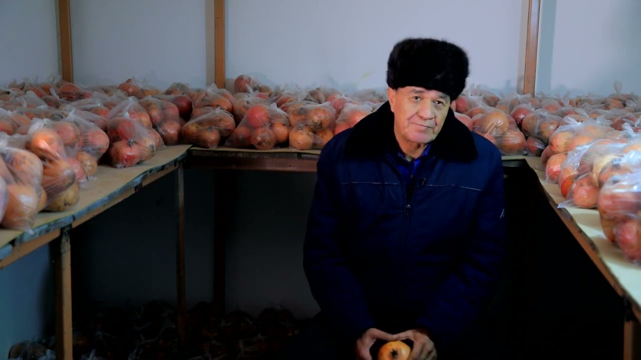 Анор қишда қандай сақланишини биласизми?