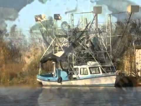 Bayou Lafourche Area