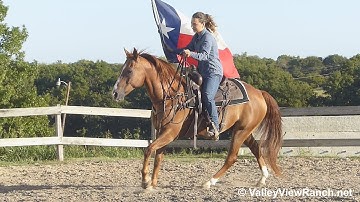 Spoonful N Freckles***For info, price, etc., go to our website: ValleyViewRanch.net***