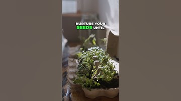 Harnessing Savings: Your Financial Safety Net for Growth