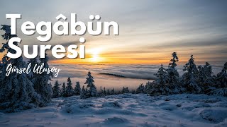 Tegâbün Suresi - Gürsel Ulusoy