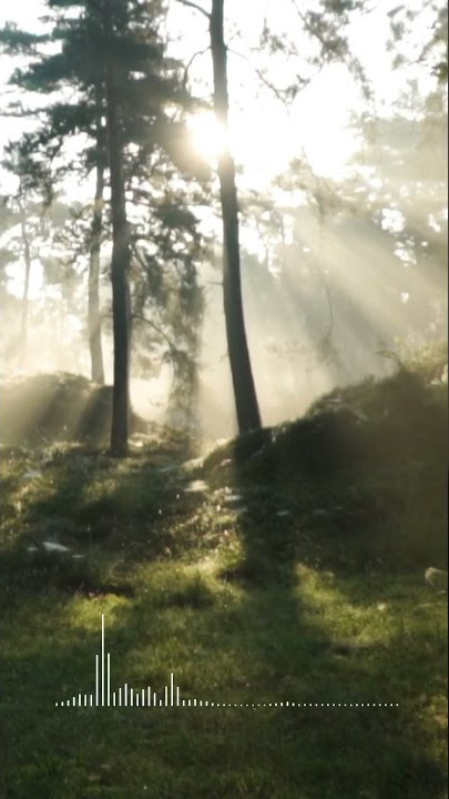 Story IG WA | Musik Relaksasi