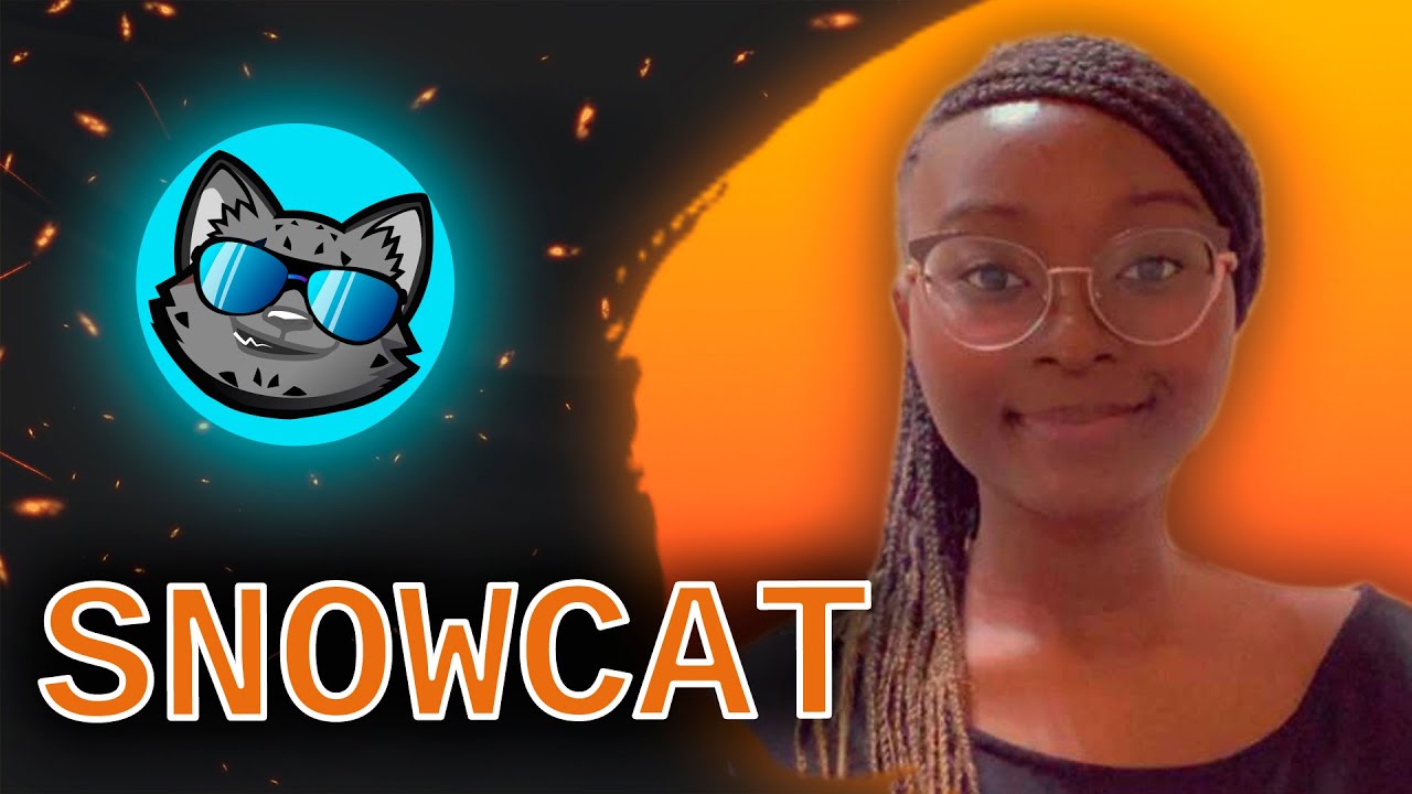 Snowcat - A unique project! The most secure bayback code! - YouTube