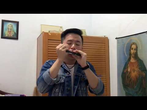 PerfectEd sheeran cover by Harmonica
