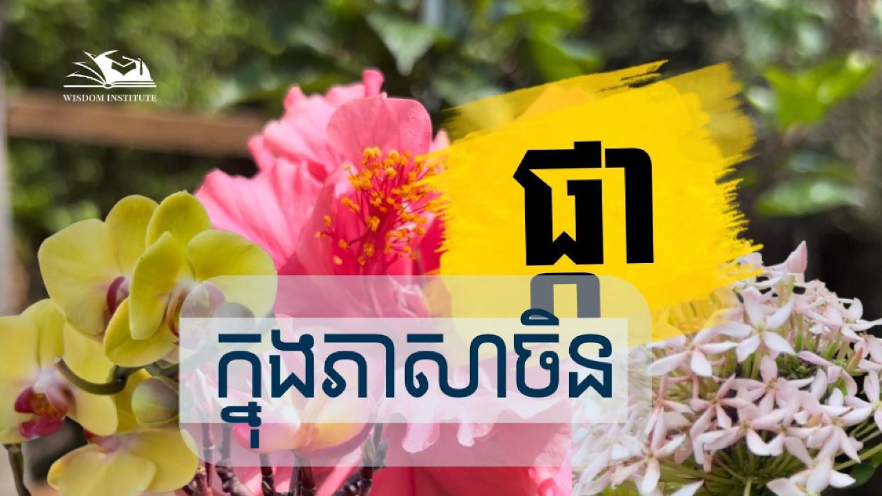 ឈ្មោះផ្កាជាច្រើនក្នុងភាសាចិន| 花名｜Flower Name in Chinese