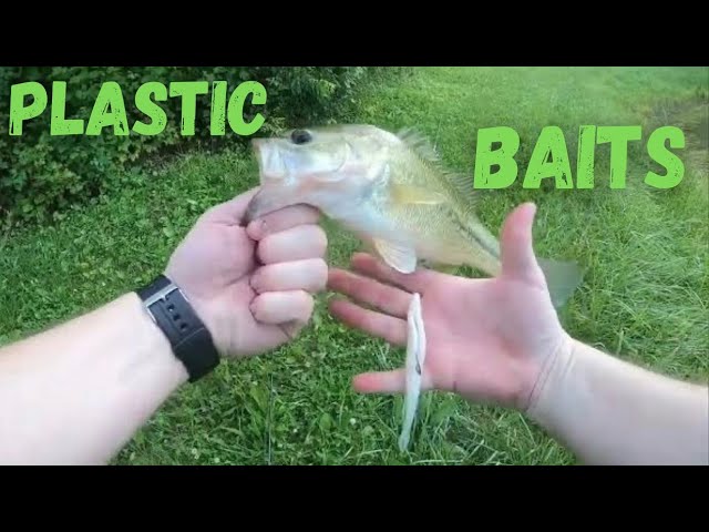 Using Plastic Baits to catch Largemouth Bass at Private Pond in Southwest  Missouri 