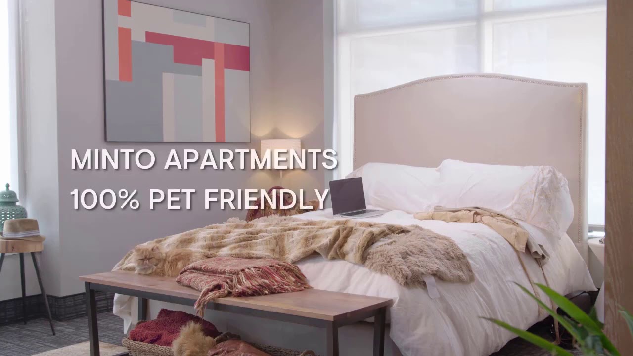 Pet Friendly London Apartments YouTube