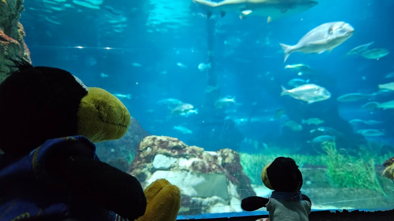 Mediterrane Schätze mit der Aida Cosma. Mittelmeerkreuzfahrt nach Barcelona