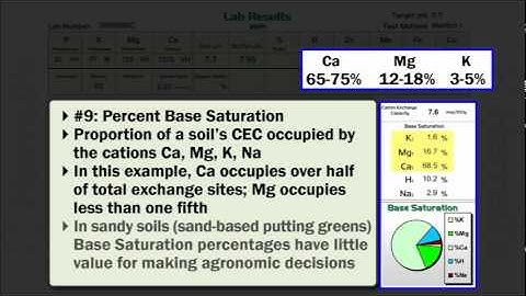 Interpreting Soil Test Results for Turf