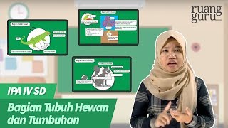 ruangbelajar - IPA IV SD - Bagian Tubuh Hewan dan Tumbuhan | bimbel online