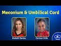 ToxTime: Meconium &amp; Umbilical Cord