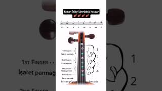 Keman Öğrenmenin Temeli: Keman Telleri Üzerindeki Notalar Ve Parmak Egzersizlerinin Önemi🎻🎻🎻🎻🎻🎻🎻🎻🎻 Resimi