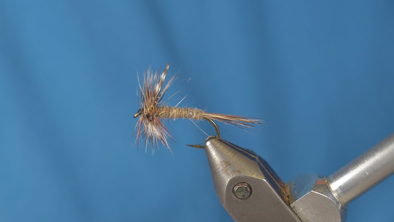 Montage de la Adams - Mouche sèche