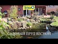 Садовый пруд весной - подготовьтесь к сезону с продуктами Tetra