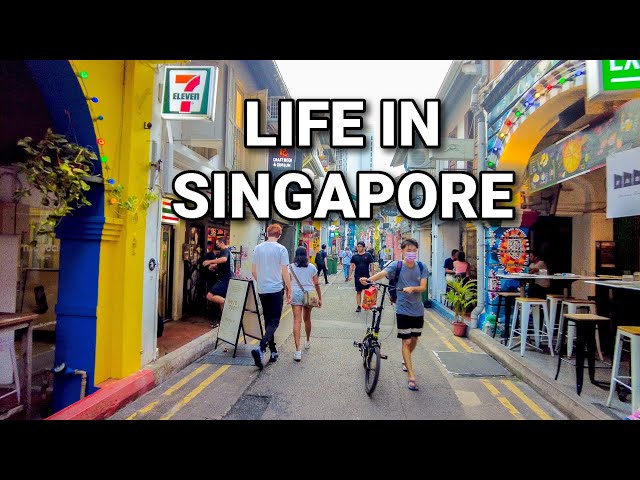 🇸🇬 Singapore Visit The Popular Arab Street, Haji Lane And Bugis Street class=