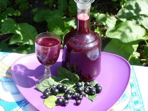 Как сделать самогон на черной смородине Как сделать самогон на черной смородине