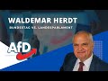 Waldemar Herdt  Bundestag vs. Landesparlament