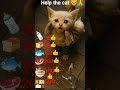 help tha cat 😿#help #trendingshorts #viral #video #subscribe