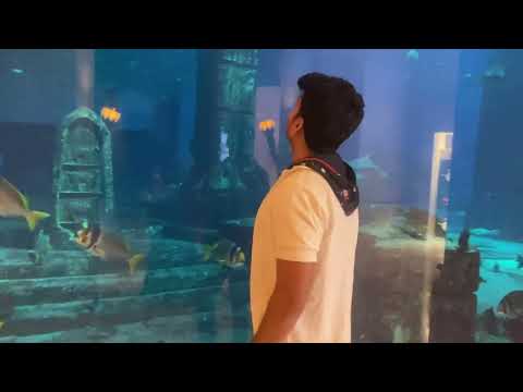 The Lost Chambers Aquarium, Atlantis, Pal Jumeirah, Dubai