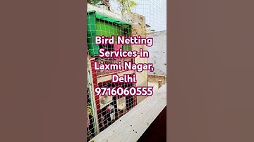 Bird Netting Services in Laxmi Nagar, Delhi । Bird Netting Services near me in Laxmi Nagar, Delhi