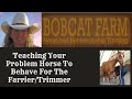 Teaching Your Problem Horse To Behave For The Farrier/Trimmer