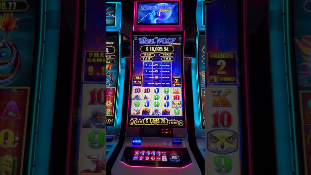 Jackpot 🎰 🤑🤑on Timber Wolf Extreme 