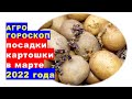 Агрогороскоп посадки и яровизации картофеля в марте 2022 года